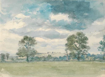 Summer Landscape