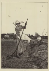 Haymaking