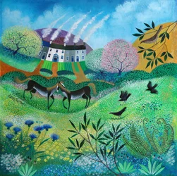 Wildflower Meadow