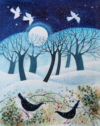 Winter Birds in the Snow