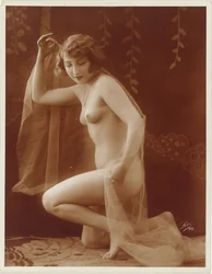 Female nude with veil