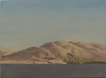 Four Palms on Verdant Field Near Nile