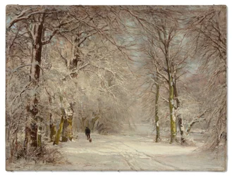 A snow covered path in winter