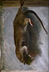 Study of a Dead Rat