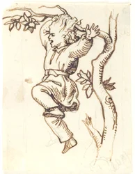 Boy Hanging on a Branch in a Tree