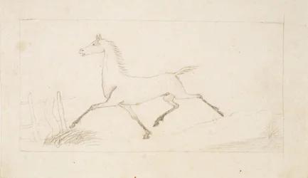 A Horse in Trot