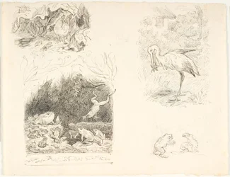 Four Drafts for Illustrations for The Toad, H.C. Andersen
