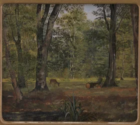 Charlottenlund Wood, North of Copenhagen