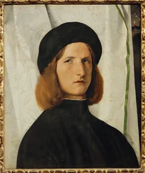 Portrait of a Young Man in Front of a White Curtain