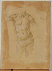 Bust of a Half-Naked Man, Without Head