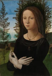 Portrait of a Young Woman
