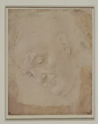 Portrait of a Bald Man, Turned Three Quarters to the Left
