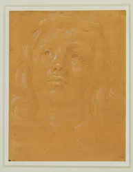 Portrait of a Young Man Looking Up