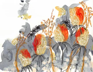 Orange Banksia with Spiders