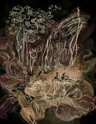 Orchid Bloom Midnight Mocha