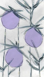 Purple Botanical Fruits