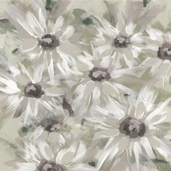 Soft Daisy Blooms