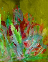 Vibrant Abstract Growth