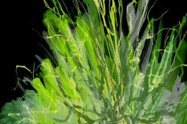 Vibrant Green Abstract