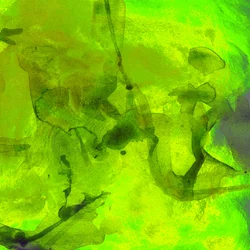 Vibrant Green Fluid Abstract