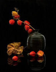 Autumn Lanterns Still Life