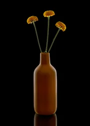 Warm Flowers Brown Vase