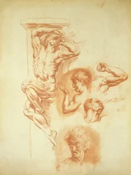 Head of a Man