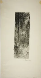 Falling Pines