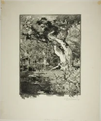 The Clovis, Bellecroix Plateau