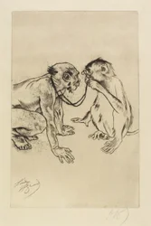 Comparative Anatomy