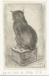 Cat Sitting on a Stove