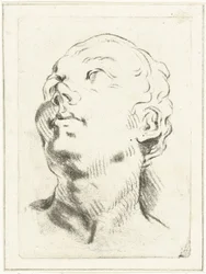 Study Sheet with a Head Looking Upwards