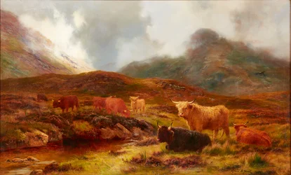 Moorland at Clachaig, Glencoe