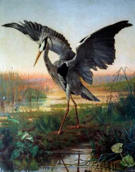 The Heron
