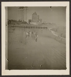 [Beach Scene]