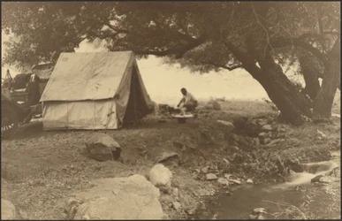 [Camping Scene]