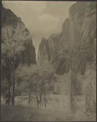 Canyon Landscape