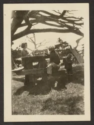 Children at a Picnic Table