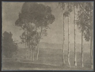 Claudian Landscape