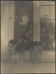 Dogs at Door