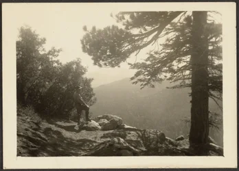 [Figure in Mountain Landscape]