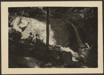 Figures in Shadowed Forest Landscape
