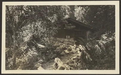 Forest Lodge