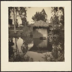 Hut on Pond