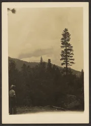 Idyllwild