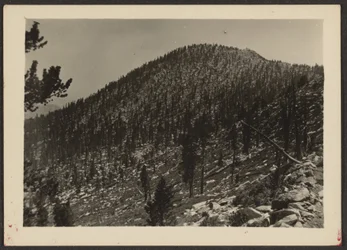 Jean Peak from Trail