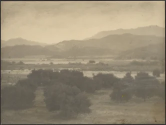 Landscape with Low Trees