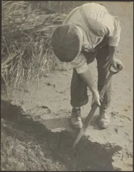 Man Digging in Mud