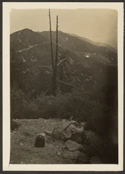 Man Sitting on Hillside