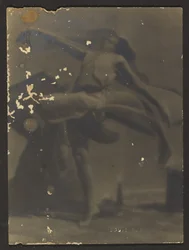Movement Study